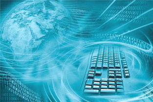 破繭重生 遼寧互聯(lián)網(wǎng)服務(wù)營業(yè)場所的“十三五”轉(zhuǎn)型升級之路